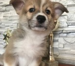 e0461047-1df9-43dd-b07c-26973cfe1eca