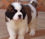 0-02-05-9e8f48544b69fb92d2636fd1467dd1fac958308ba1abab1209422ca0eae6d86e_b54b2e840debc1d7