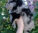 photo_10_2024-05-05_00-02-50