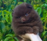 photo_1_2023-06-26_13-19-26