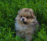 photo_2025-03-27_10-42-38 (4)