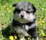 photo_3_2024-05-17_14-21-14