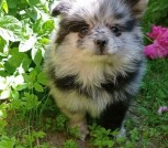 photo_3_2024-05-27_15-47-37