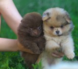 photo_4_2023-06-26_13-19-13