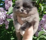 photo_4_2024-05-04_23-59-25