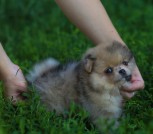photo_6_2023-06-26_13-19-13
