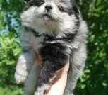 photo_9_2024-05-17_14-21-14