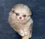 photo_12_2025-10-21_14-49-57