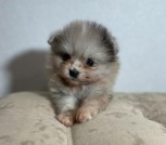 photo_2_2025-10-15_15-27-54