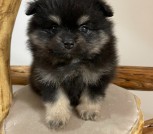 photo_2_2025-10-21_14-42-06