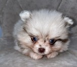 photo_2_2025-10-21_14-49-57