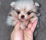 photo_3_2025-10-21_14-49-57