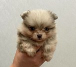 photo_4_2025-10-15_15-27-54