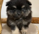 photo_4_2025-10-21_14-42-06