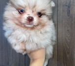 photo_5_2025-10-21_14-49-57