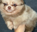 photo_7_2025-10-21_14-49-57