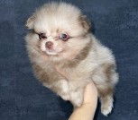 photo_8_2025-10-21_14-49-57