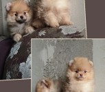 GridArt_20251021_152644315