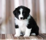 2ltVlWyuZ2u_GNMjFq0k6A45zfBFf1lyaCcGmLmAVQvfhHN-fGM3dTstJhztUWN3zjN5ksZZLxidNCxVqhkTSI55