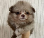 photo_11_2025-10-23_15-13-30