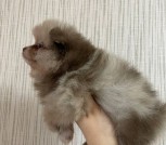 photo_12_2025-10-23_15-13-30