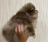 photo_13_2025-10-23_15-13-30