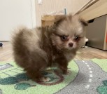 photo_18_2025-10-23_15-13-30