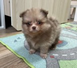 photo_23_2025-10-23_15-13-30