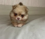 photo_2_2025-10-23_15-13-30