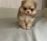 photo_4_2025-10-23_15-13-30