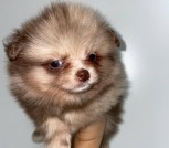 photo_8_2025-10-23_15-13-30