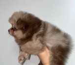 photo_9_2025-10-23_15-13-30