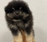 photo_1_2025-10-31_15-46-04