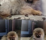 GridArt_20251114_172304066