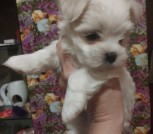 Screenshot_20251129-120406_Gallery