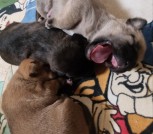 IMG-29bf9ff5615e35dae8f1efe6c64da6a9-V