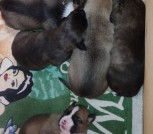 IMG-b2c9b0afe8f0b13082e901079682beb7-V