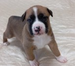 IMG_20251122_155942_1