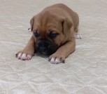 IMG_20251122_163608_1