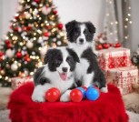 AwcKP_kcNG2aMPuNVGqmsEk3DmN90X3QpfM2AYJf4pNDZK6tzbP7V9nVLKnAm3PukOPqdcT6fI87BXuWGxv6vcOF