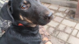 изображение_viber_2025-10-29_17-12-08-352