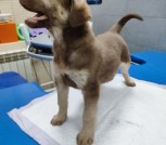 изображение_viber_2025-10-29_17-16-46-680