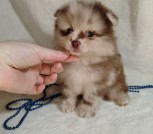 photo_1_2025-12-25_20-07-41