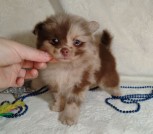 photo_1_2025-12-25_21-16-44