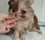 photo_6_2025-12-25_21-16-44