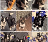 Collage_20251224_130616