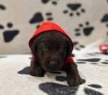 IMG_20251221_222124_352