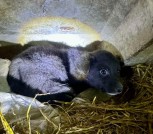 photo_2026-01-18_04-01-22