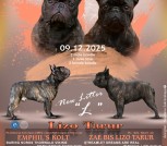 604369340_33048425441470435_6259165762285667110_n