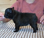 615878020_33462111136768528_3183862271461531129_n